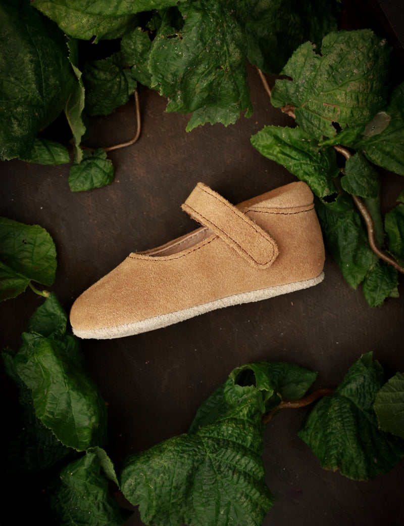 Petit Nord Ballerina Shoe with Velcro Indoor Shoes Sahara Suede 122