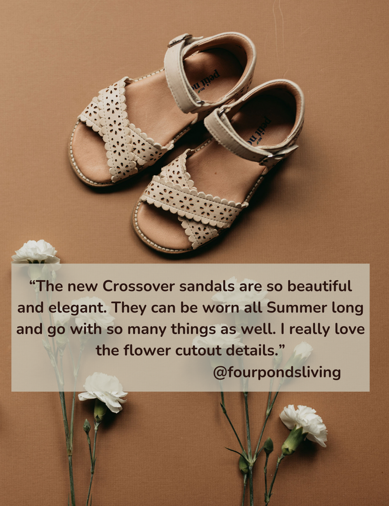 Petit Nord Crossover Scallop Flower Sandals Cream 052