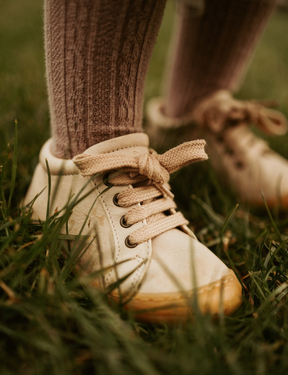 Everyday shoe Lace Cream – Petit Nord France