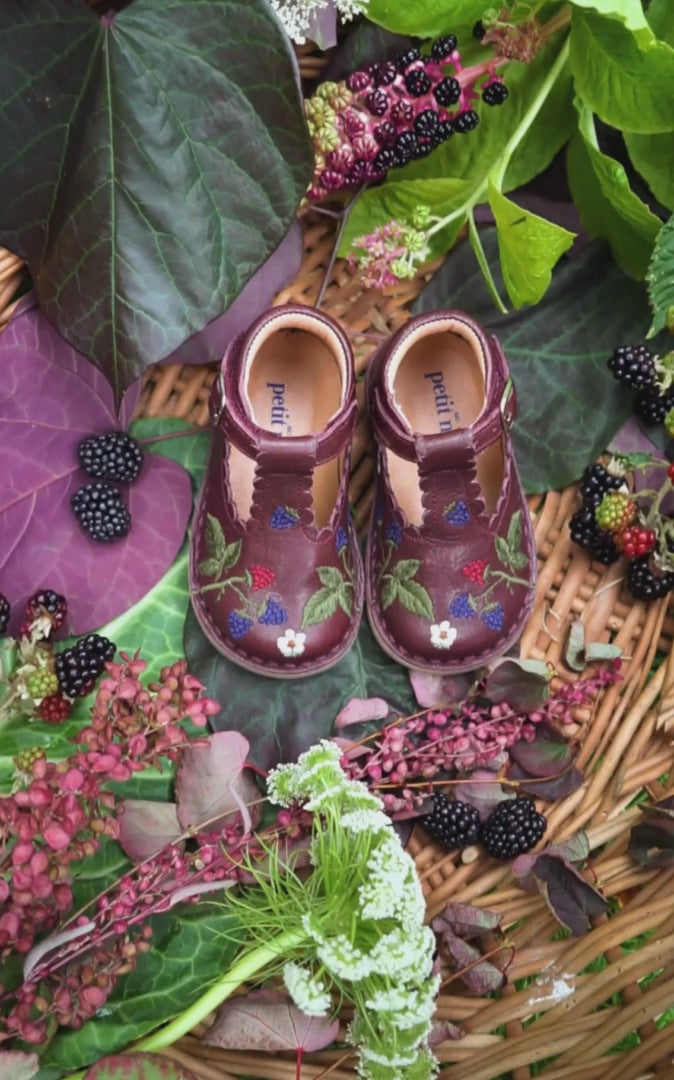Petit Nord Blackberries T-Bar Scallop T-bars and Ballerinas Hazelnut 069